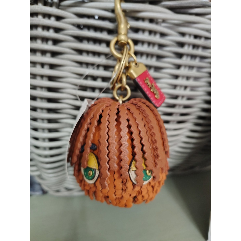 NWT Coach Limited Edition Dreamie Charm